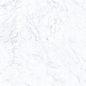 Color: Michaelangelo